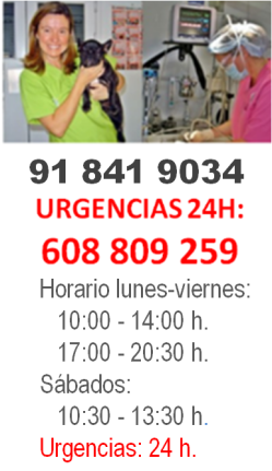 CENTRO VETERINARIO SAN AGUSTÍN DE GUADALIX